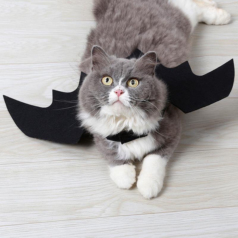 Bat Wings Cat Pet Costume