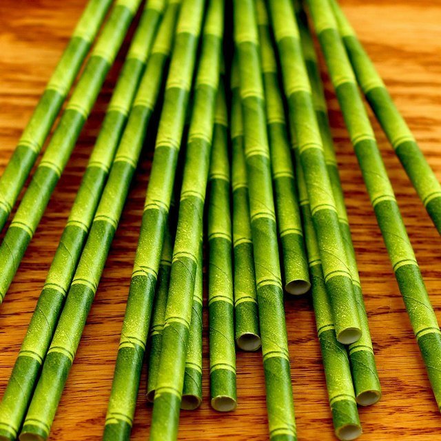 Bamboo Straws