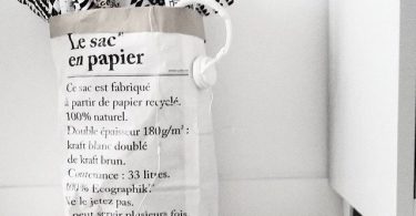 Le Sac En Papier