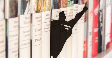 Superman Book Divider