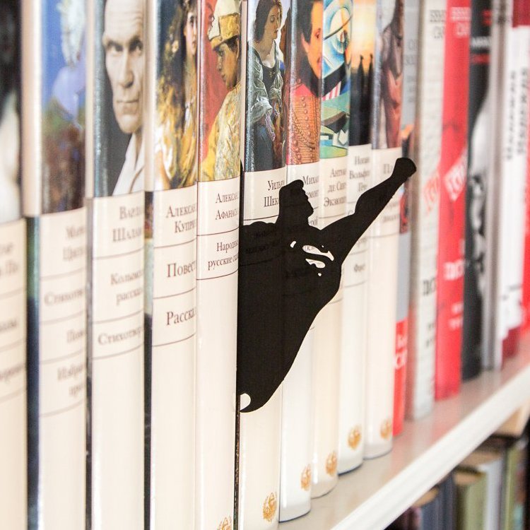 Superman Book Divider