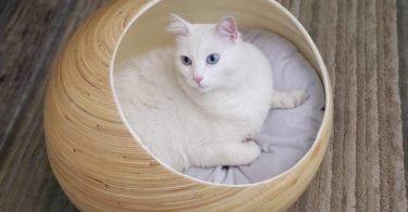 Fhasso Stylish Igloo Cat Cave Bed