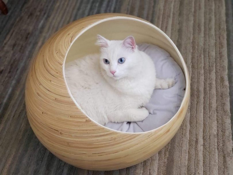 Fhasso Stylish Igloo Cat Cave Bed