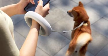 LED-Lit Dog Leash