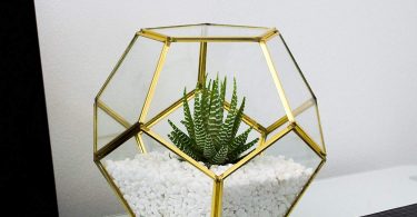 MOCTUS Glass Geometric Terrarium