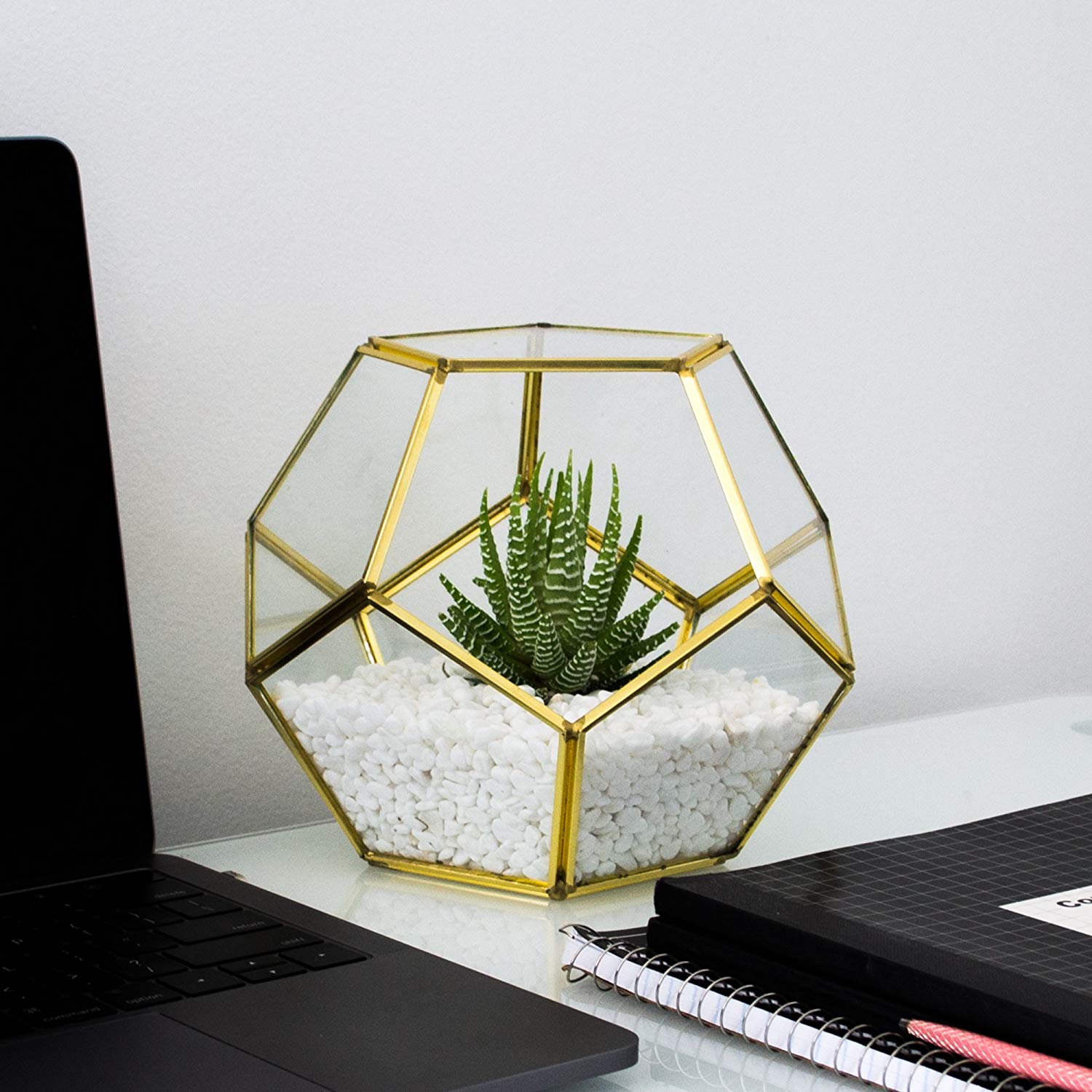 MOCTUS Glass Geometric Terrarium