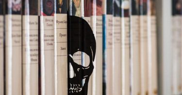 Skull Book Divider