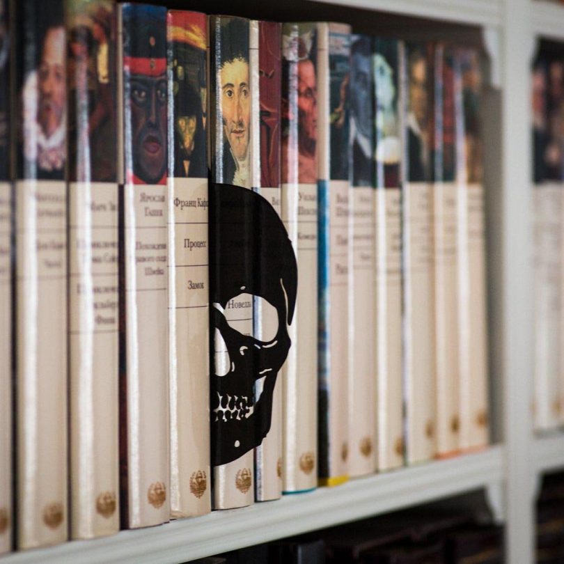 Skull Book Divider