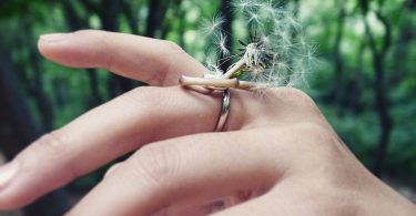 Ikebana Ring