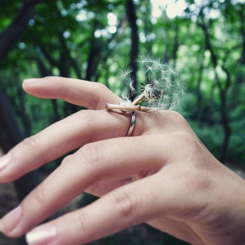 Ikebana Ring