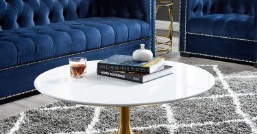 Decorific NYC Tulip Frame Coffee Table