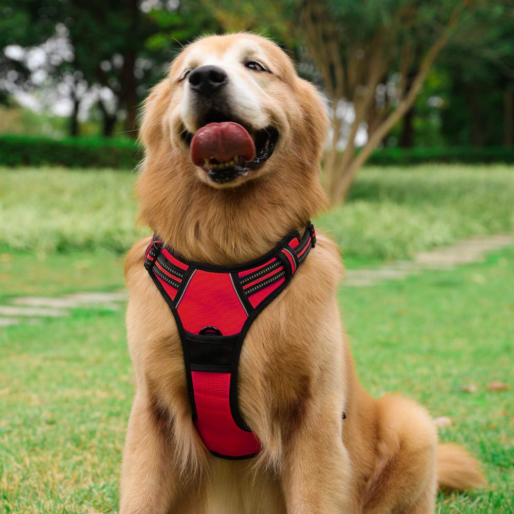 Rabbitgoo Dog Harness No-Pull Pet Harness