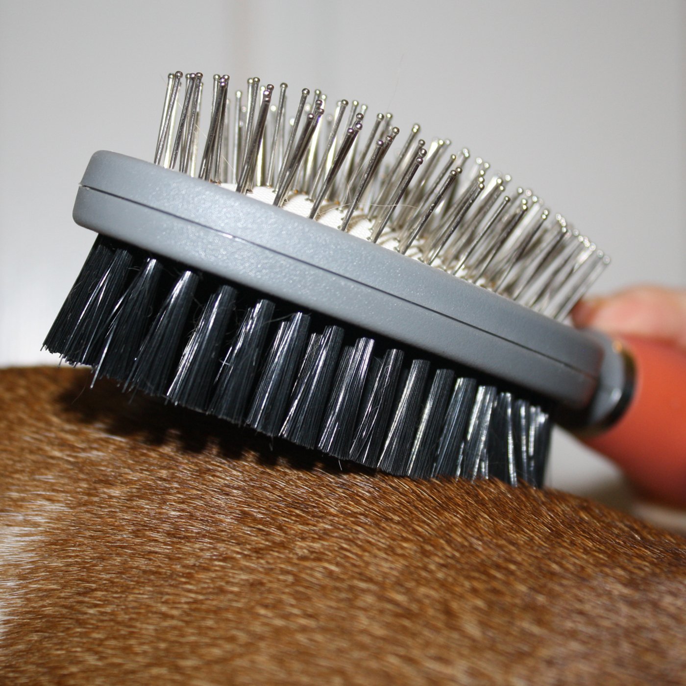 GoPets Professional Double Sided Pin and Bristle Brush for Dogs