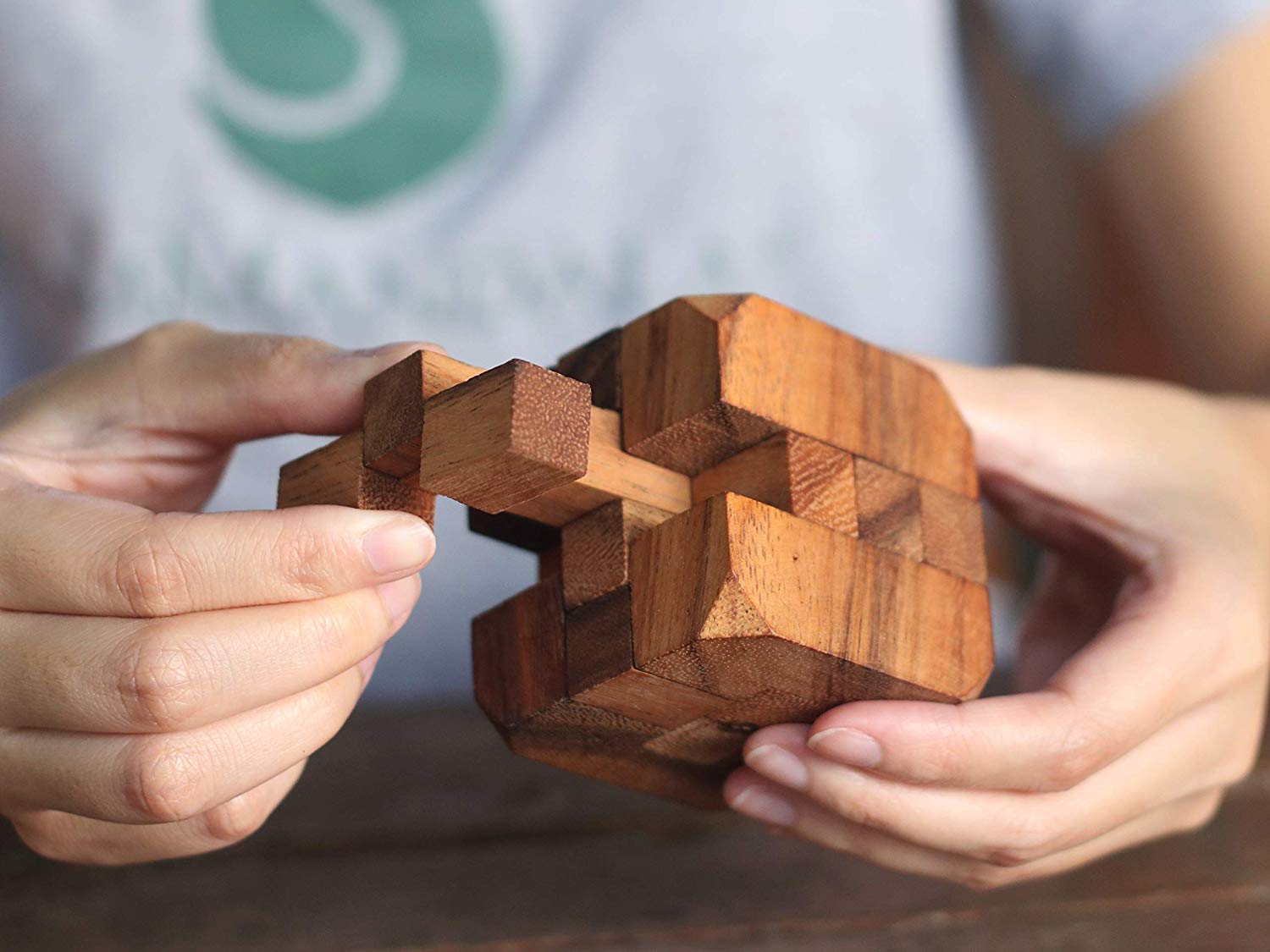 Hidden Passage: Wooden Puzzles for Adults