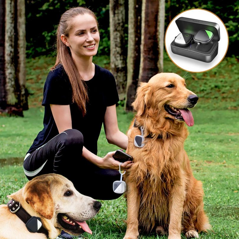 PETFON Pet GPS Tracker for 1-3 Dogs Pets