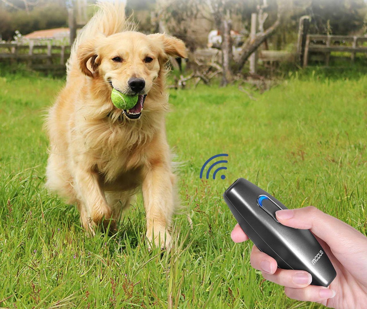 MODUS Bark Control Device – Ultrasonic Dog Bark Deterrent