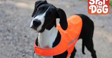 SPOT THE DOG! 2 Color Reversible Dog Vest