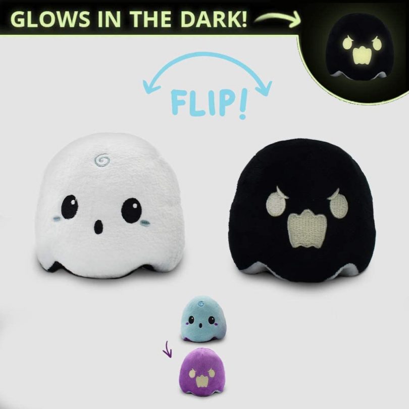 reversible bipolar teeturtle toy