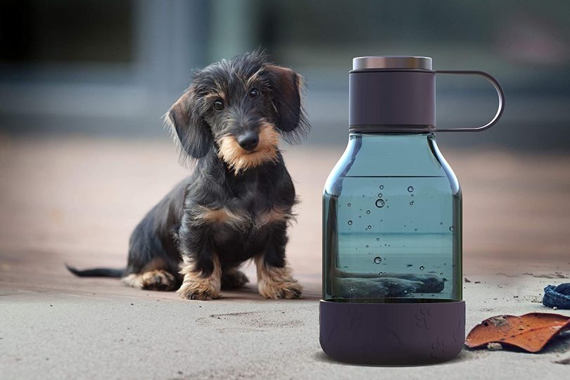 asobu Dog Bowl Attached to Tritan 1 Liter Bottle