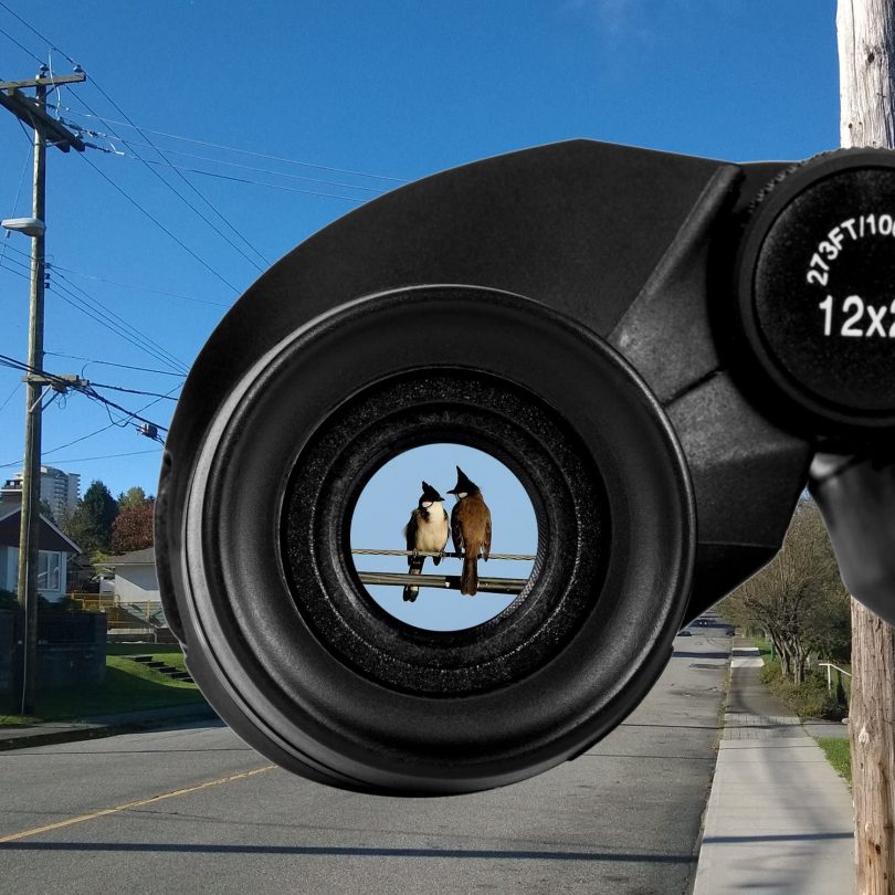 Occer 12×25 Compact Binoculars