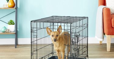 Paws & Pals Dog Crate Double-Door Folding Metal