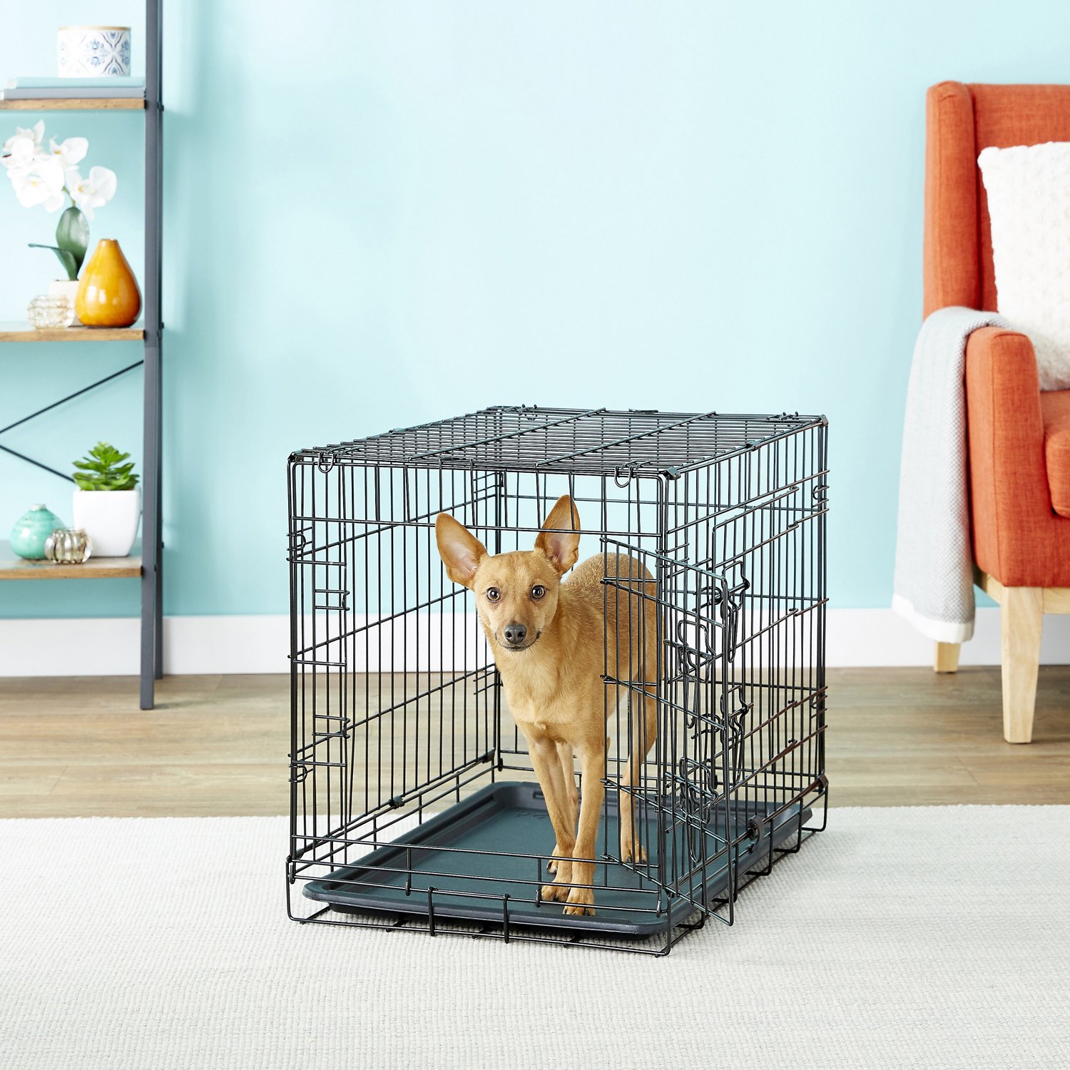 Paws & Pals Dog Crate Double-Door Folding Metal