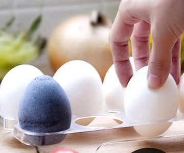 Charcoal Refrigerator Odor Eggs