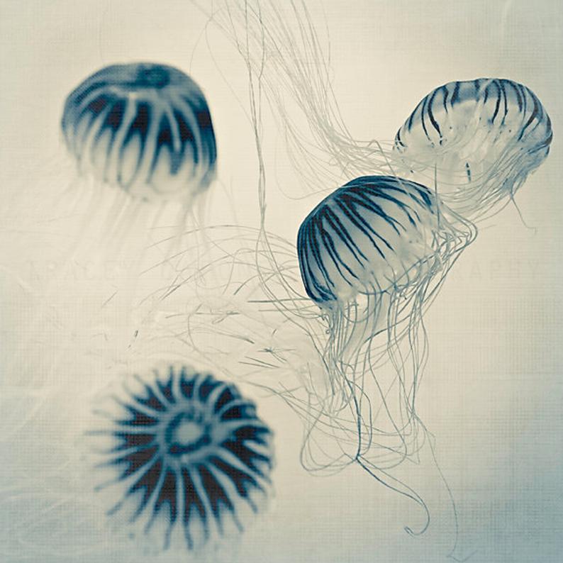 Blue Jellyfish Print Indigo Nature Photography Ocean Art