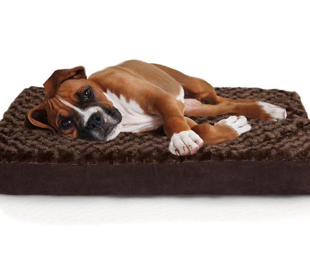 heart to tail pillow top orthopedic pet bed