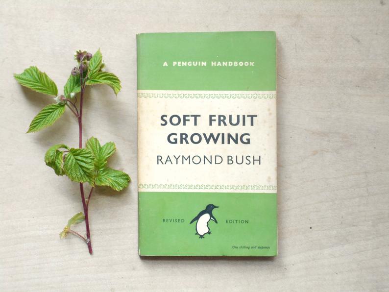 Penguin paperback 1940s gardening book Soft Fruit Growing gift