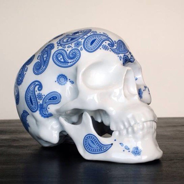 White Porcelain Cashmere Bleu Skull