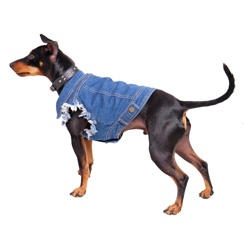 Denim Dog Jacket / Denim Dog Vest /Dog Coat / Dog Denim /  Dog