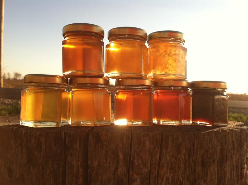 Honey Sampler  8 varieties of pure raw honey