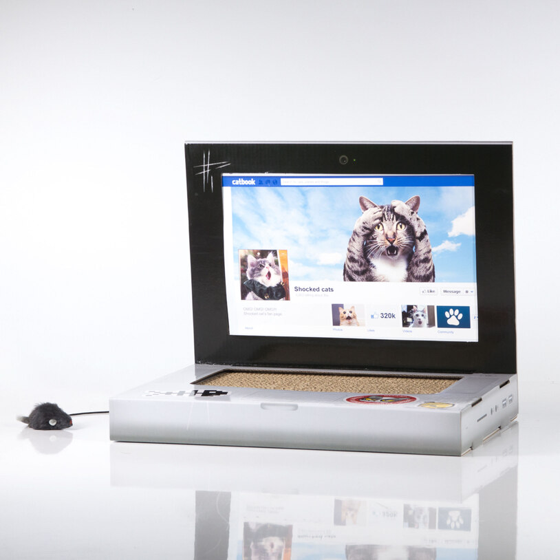 Cat Scratch Laptop