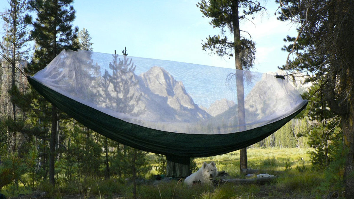 Portable Bug-Free Hammock