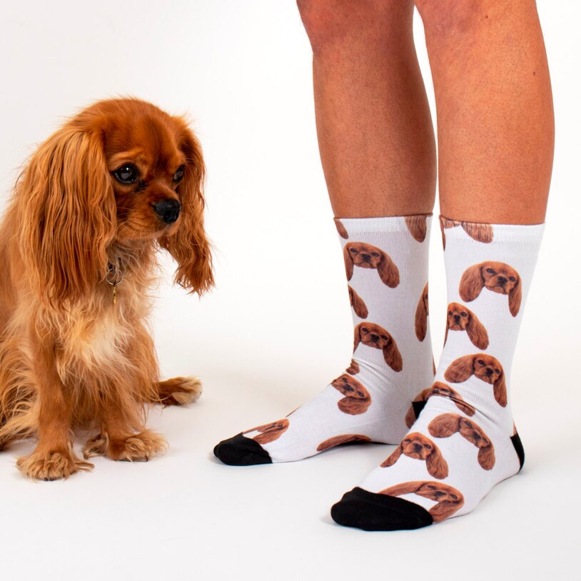 Sock Your Pet - Personalised Pet Socks » Petagadget