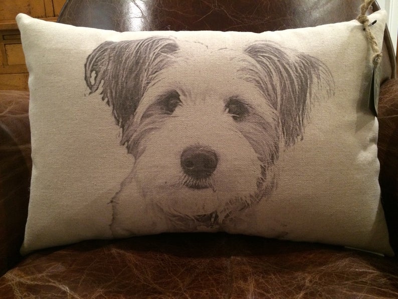 Personalized Pet Pillow on Canvas