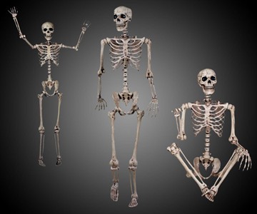 Crazy Bonez Pose-N-Stay Skeleton