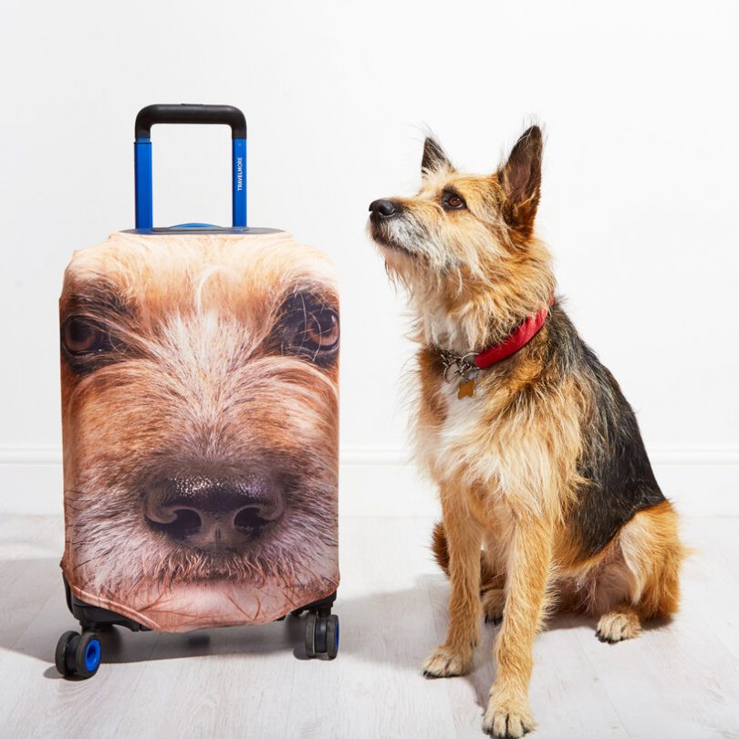 Pet Head Case – Personalised Pet Luggage Cover