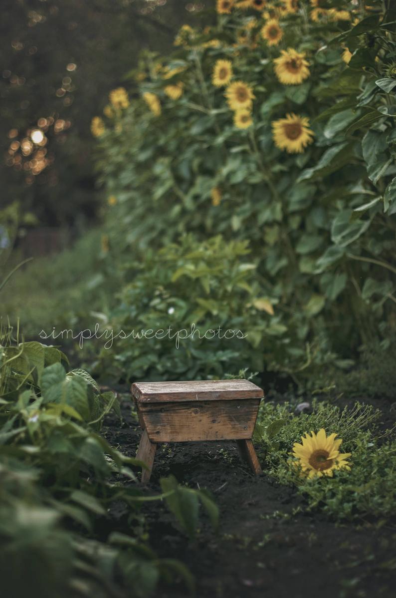 Sunflower Digital Background