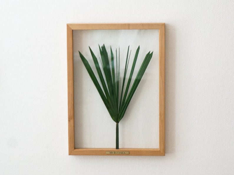 Green Papyrus Pressed Leaves Plant Lovers Gift Idea