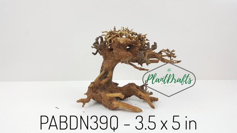 SPECIAL DISCOUNT Nano Aquarium Driftwood Bonsai Tree
