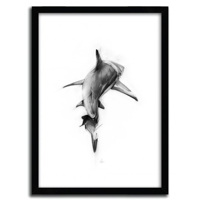 Shark II Print by Alexis Marcou