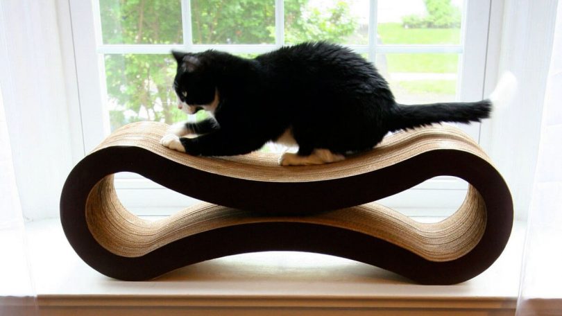 The Ultimate Cat Scratcher Lounge