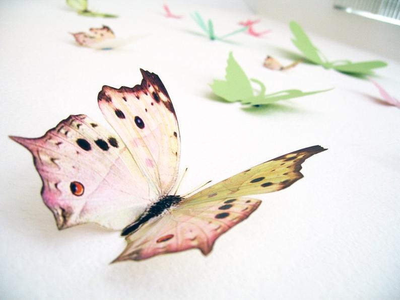 15 3D Wall Butterflies3D Butterfly Wall Art Decoration » Petagadget