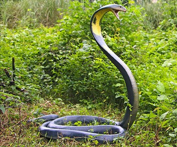 Life Size King Cobra Snake Statue
