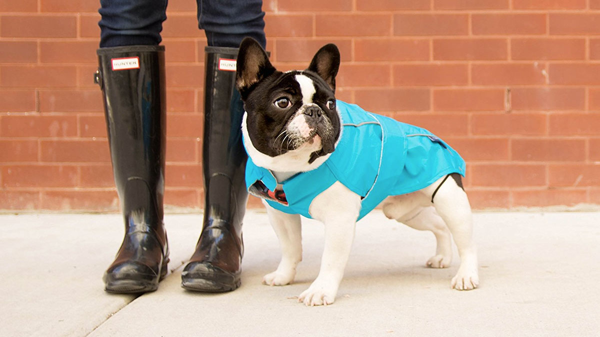 Django City Slicker Raincoat for Dogs