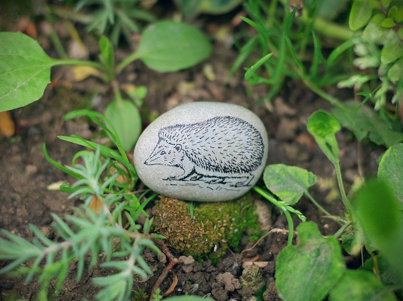 Hedgehog Gifts  Cute Animals Decor  Stone Art  Animal Gifts