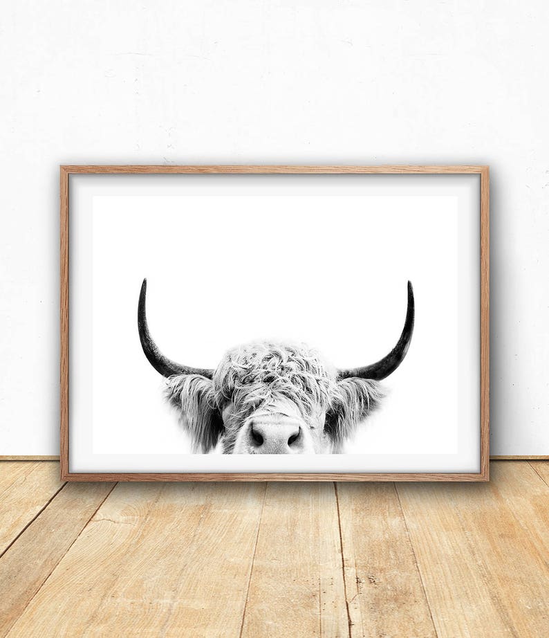 Highland Cow Print   Farm Animal Wall Art Digital Download
