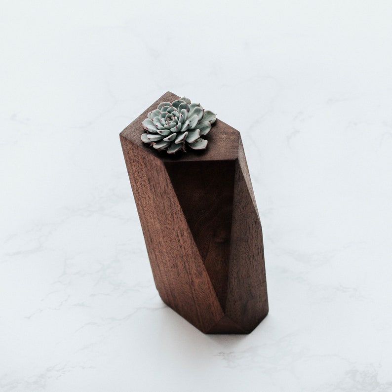 Black Walnut Geometric Succulent Planter